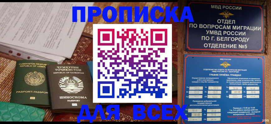 прописка для школы в Северске